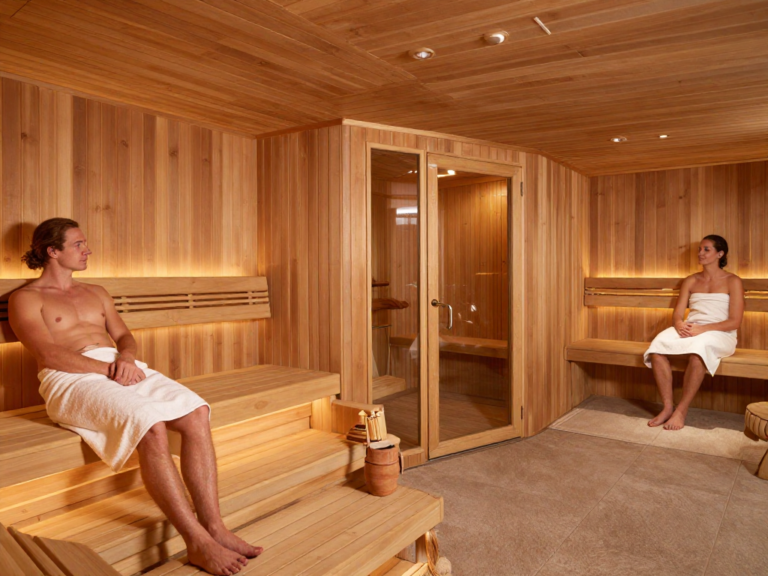 Modern German spa wellness area with multiple sauna types and relaxing atmosphere
